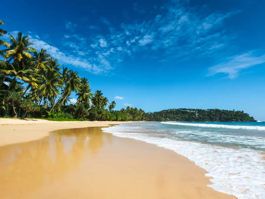 Coastal Escapes